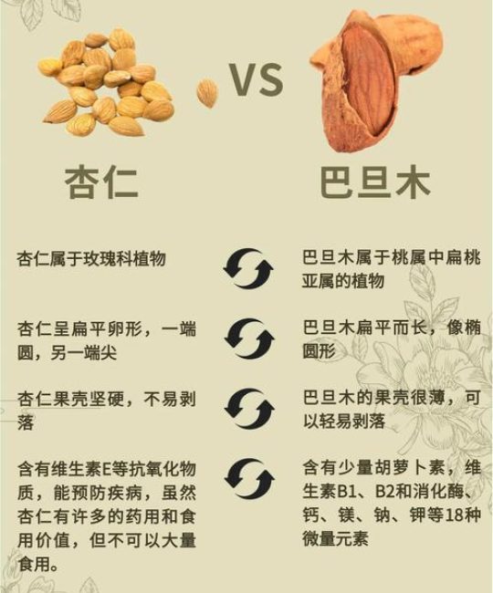 杏仁就是巴旦木吗？植物学与市场区别全解析