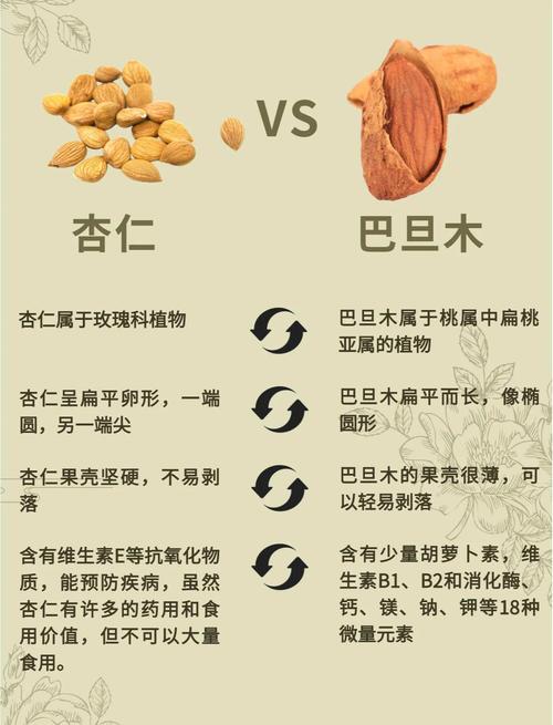 杏仁就是巴旦木吗?植物学与市场区别全解析 杏仁就是巴旦木吗?植物学与市场区别全解析