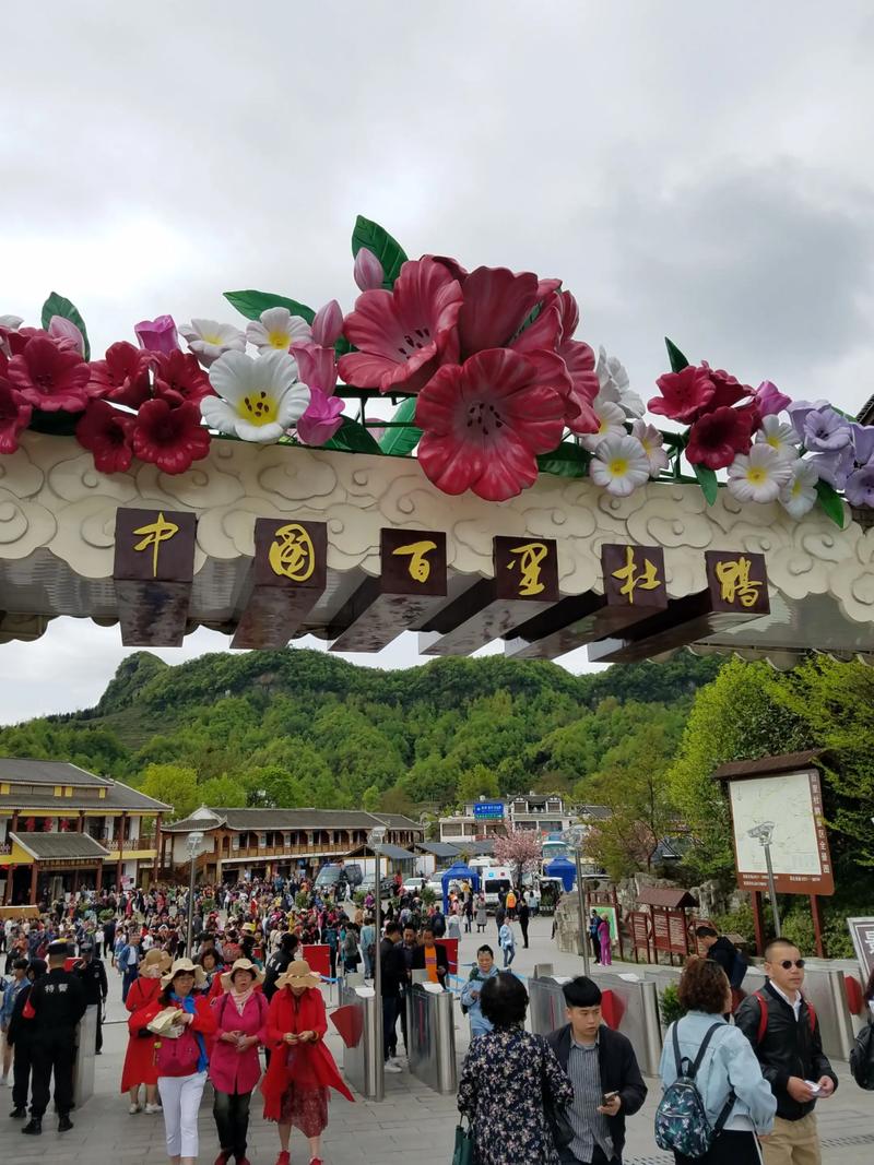 2026年贵州百里杜鹃最佳时间是什么时候?赏花全攻略与花期预测 2026年贵州百里杜鹃最佳时间是什么时候?赏花全攻略与花期预测