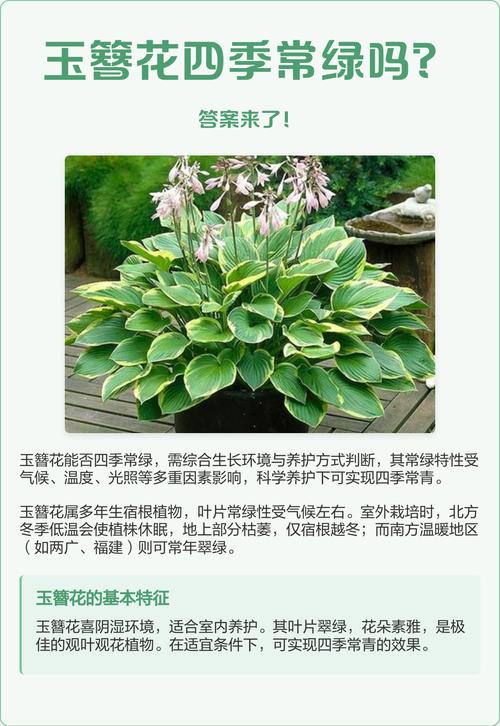 室内盆栽养护核心要点（量化版）