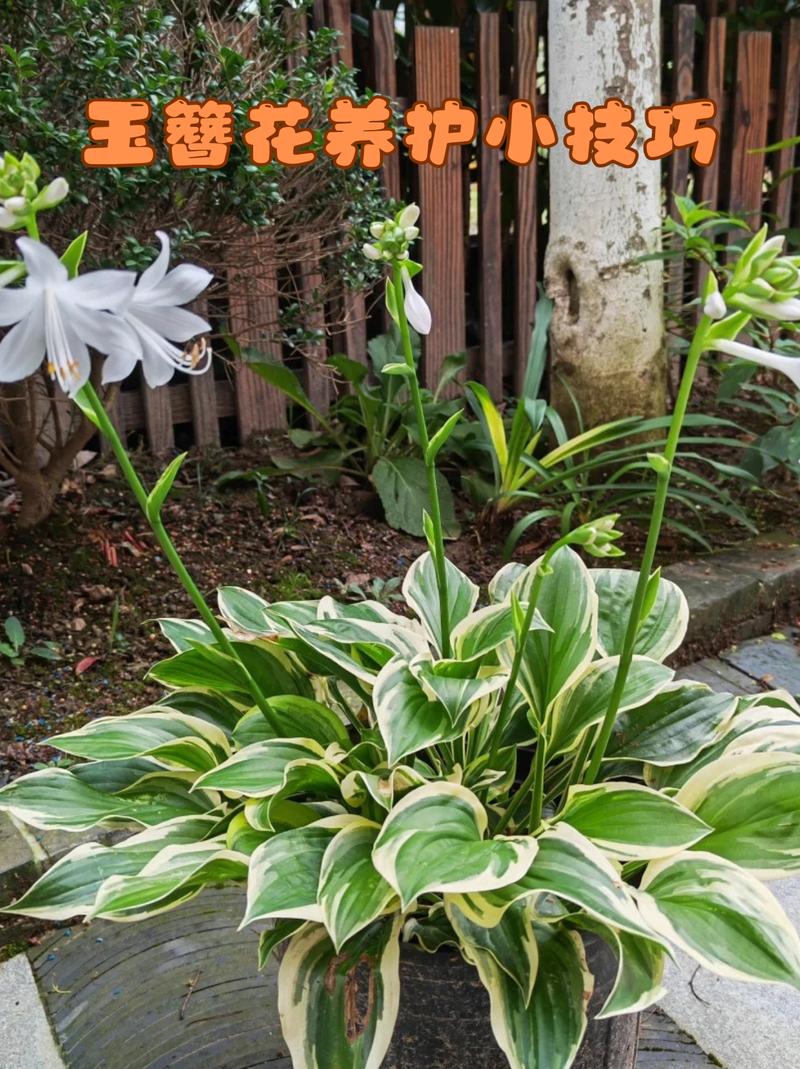 南北室内环境差异化建议