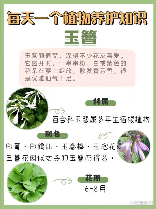 结论：尊重自然规律，不要强求四季常青