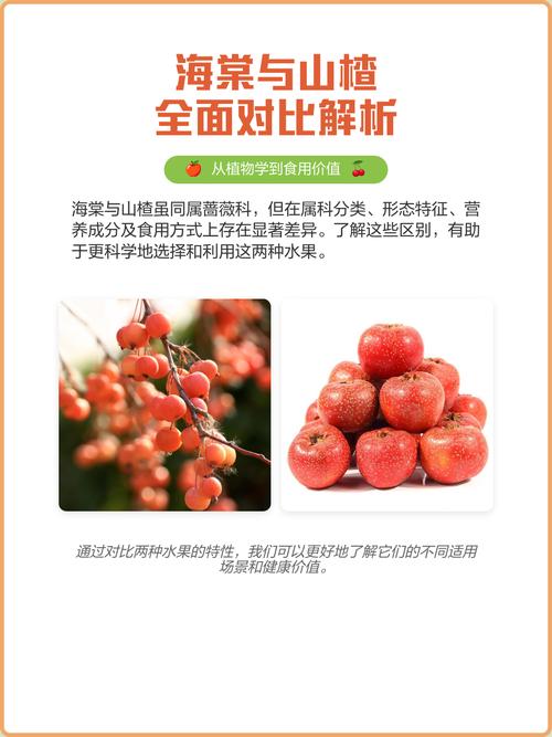 总结验证
