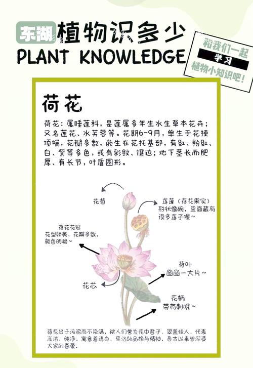 常见问题FAQ