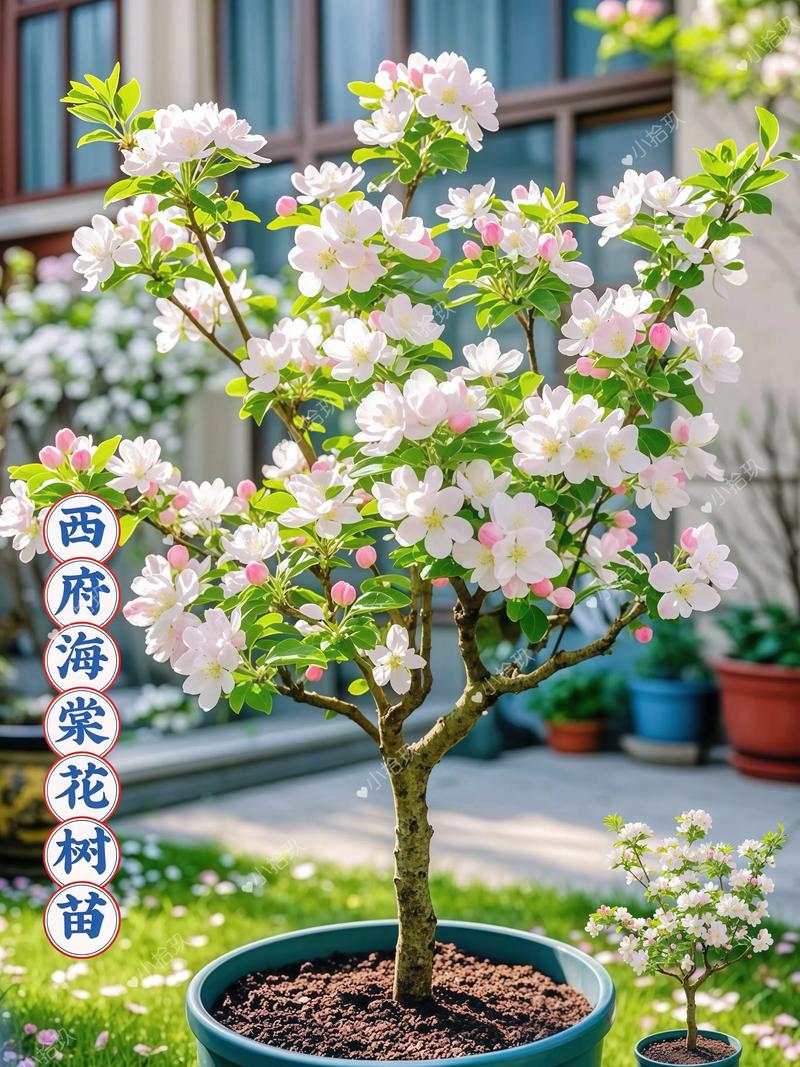 浇定根水：第一次水要浇透