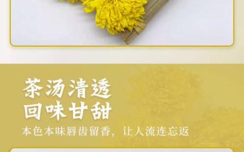 菊花茶是什么意思？一文读懂菊花茶的来源、功效与冲泡方法