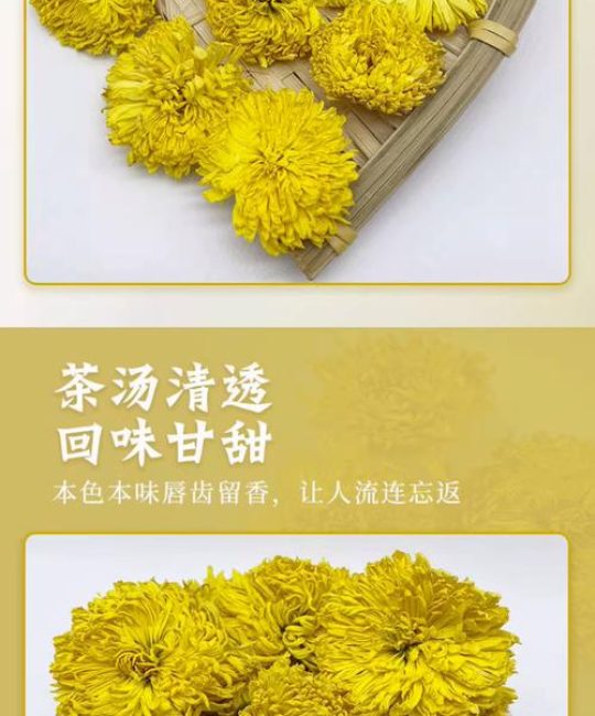 菊花茶是什么意思？一文读懂菊花茶的来源、功效与冲泡方法
