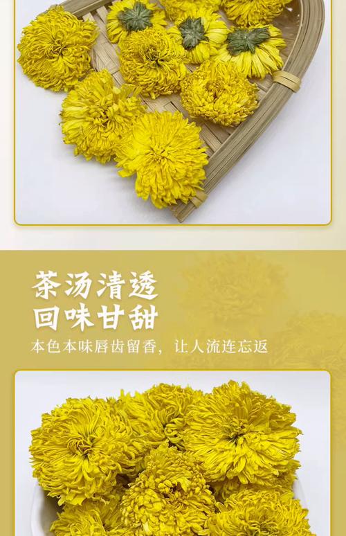 菊花茶是什么意思?一文读懂菊花茶的来源、功效与冲泡方法 菊花茶是什么意思?一文读懂菊花茶的来源、功效与冲泡方法