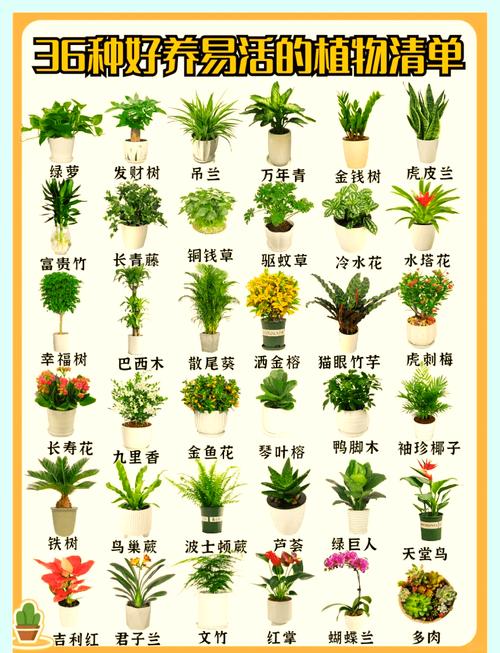 抗冻耐寒四季常青的树种推荐与南北种植指南 四、常见误区纠正