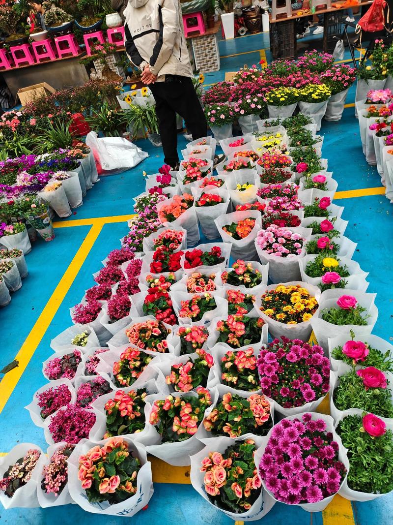 哪里有鲜花批发市场?采购渠道专家教你精准选择 第一步:明确采购需求并筛选候选渠道