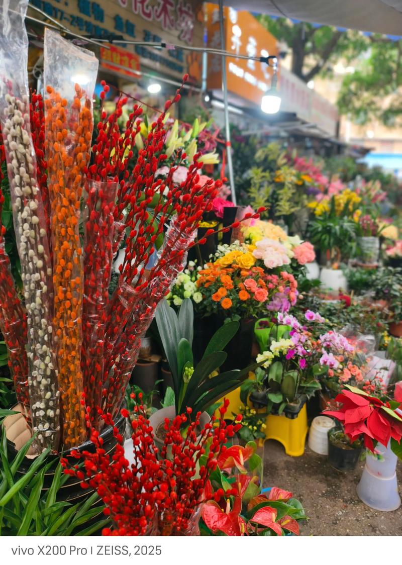 哪里有鲜花批发市场?采购渠道专家教你精准选择 第三步:新鲜度评估与运输方案审查