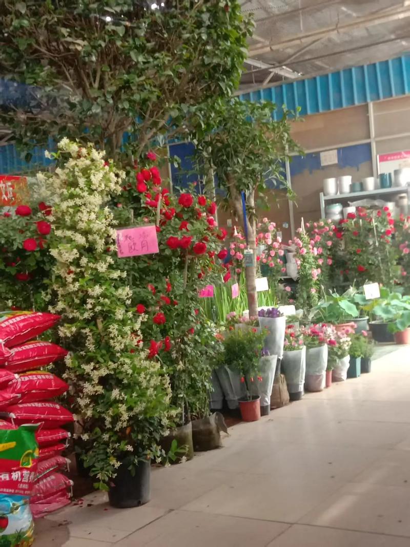 哪里有鲜花批发市场?采购渠道专家教你精准选择 结语