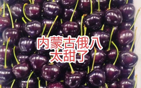 俄8樱桃品种介绍