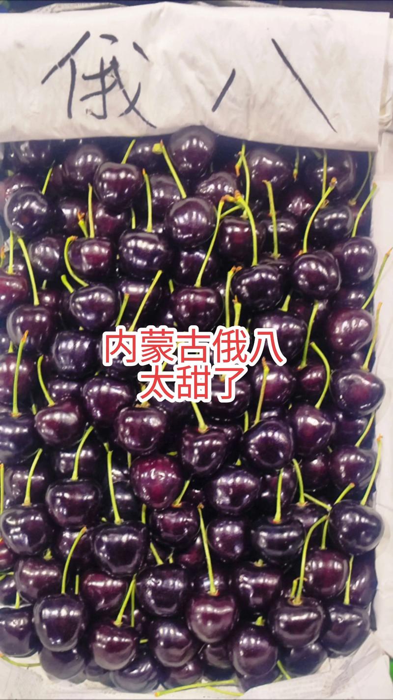 俄8樱桃品种介绍