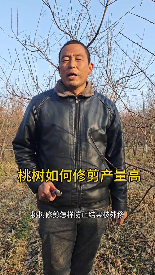 具体修剪操作步骤