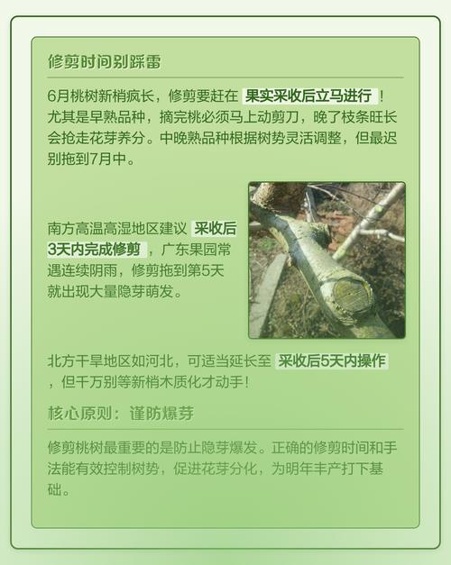 常见问题（FAQ）