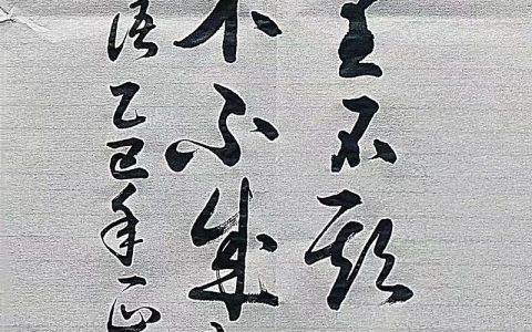 木木为林下一句是什么？从汉字拆解走进榆树的植物百科世界