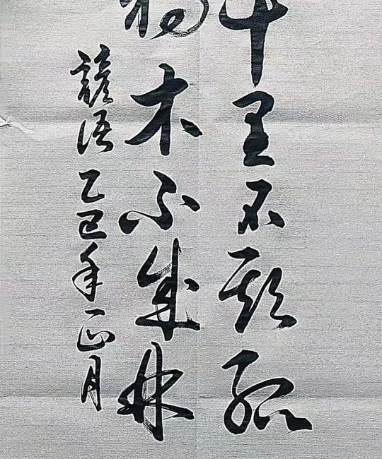 木木为林下一句是什么？从汉字拆解走进榆树的植物百科世界