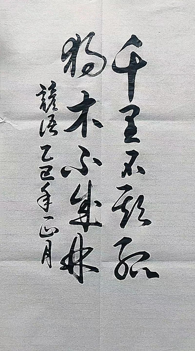 木木为林下一句是什么?从汉字拆解走进榆树的植物百科世界 木木为林下一句是什么?从汉字拆解走进榆树的植物百科世界