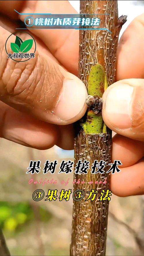 常见问题解答（FAQ）