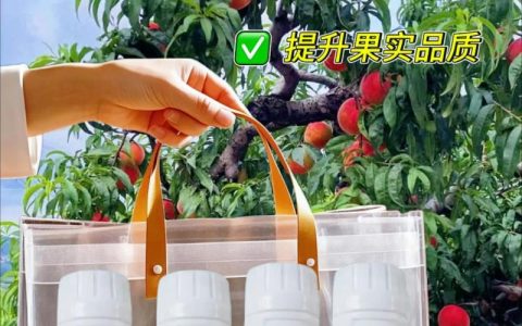 桃子增甜用什么肥料好？家庭种植全攻略