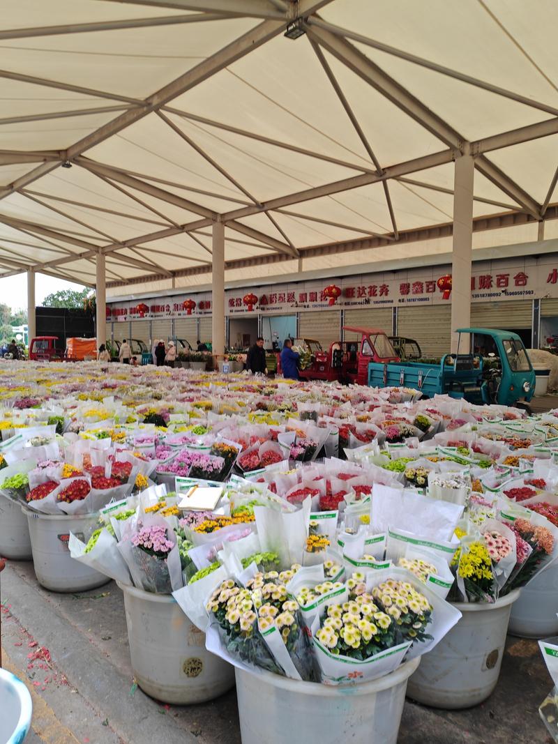 宜宾鲜花批发采购指南:如何科学筛选可靠渠道,避免踩坑 宜宾鲜花批发采购指南:如何科学筛选可靠渠道,避免踩坑