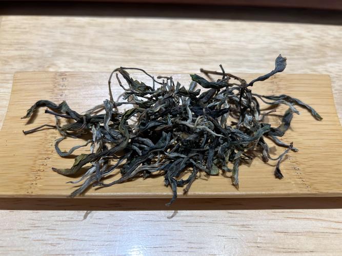 昔归古树:普洱茶中的“茶后”来自临沧的优质乔木茶树 昔归古树:普洱茶中的“茶后”来自临沧的优质乔木茶树