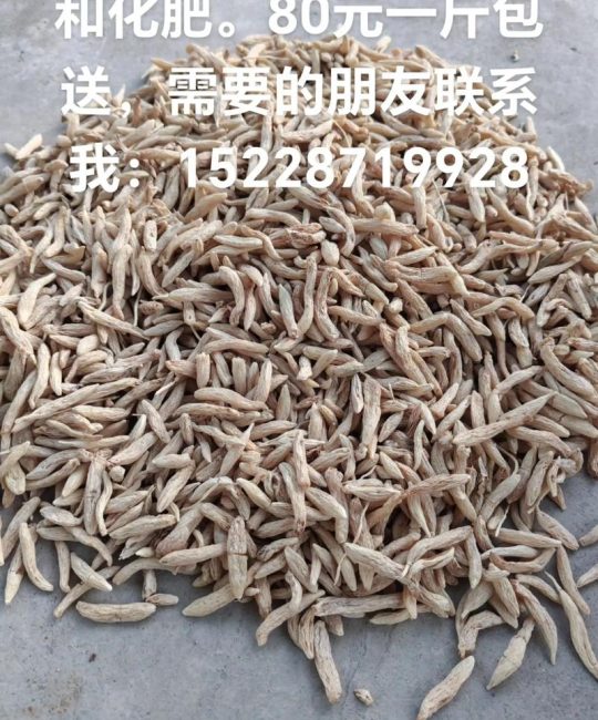 麦冬草籽价格多少钱一斤？规格、产地、季节影响报价