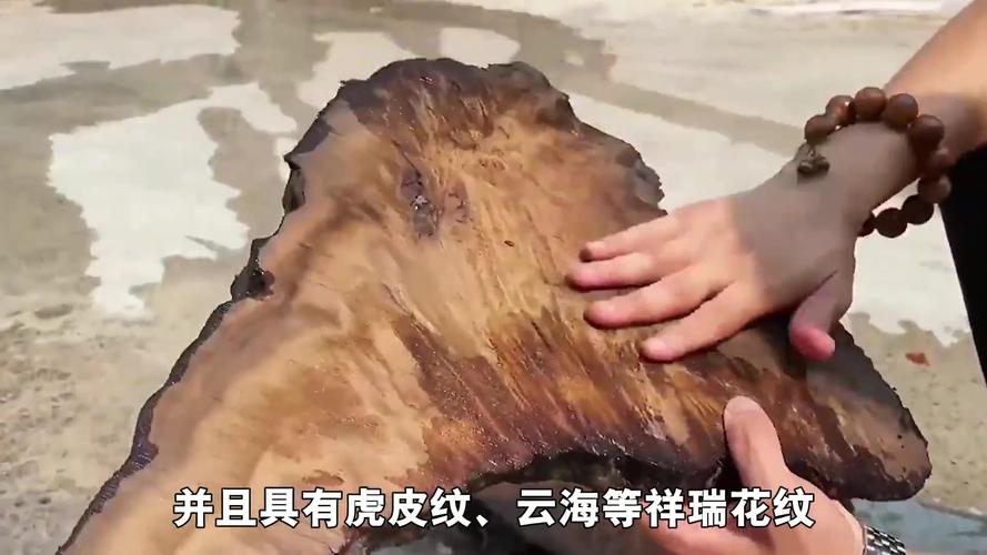 金丝楠木怎么出售?—— 采购渠道分析与品种真实性核查指南 二、品种真实性核查与规格匹配度分析
