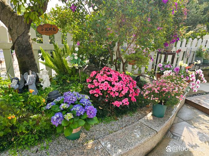 花园里面有什么花大全:四季花卉种类与养护指南 花园里面有什么花大全:四季花卉种类与养护指南