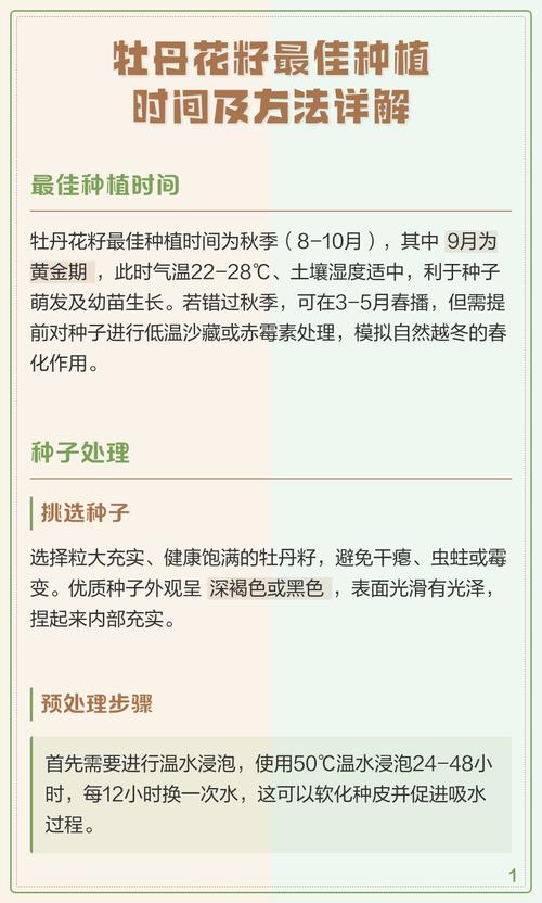 牡丹种子怎么种?从选种到发芽的完整操作指南 土壤环境准备