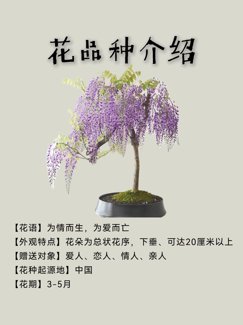 总结
