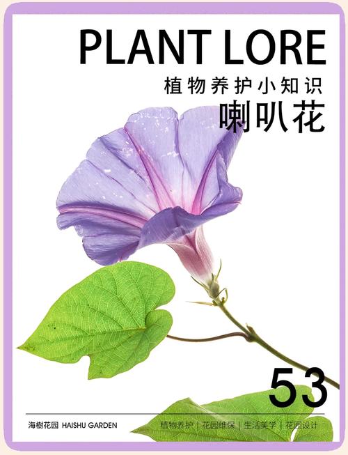 牵牛花综合症防治指南:如何拯救你的“病美人”? 二、病因诊断与治疗方案