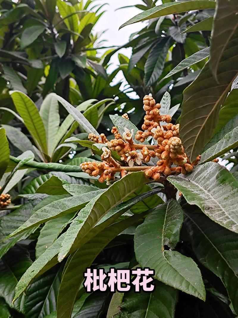 常见问题（FAQ）