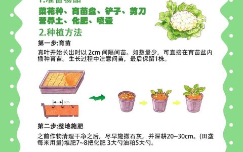 花菜现在可以种吗？全年种植时间与操作全指南（含南北差异）