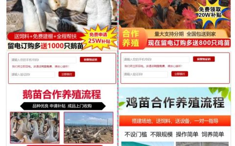 现在鸡苗多少钱？2025年最新价格参考与影响因素全解析