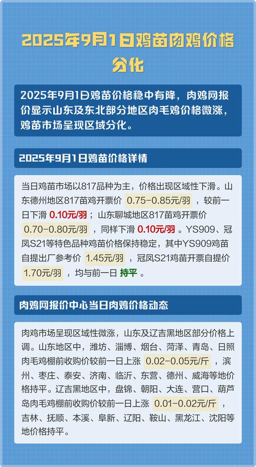 现在鸡苗多少钱?2025年最新价格参考与影响因素全解析 规格:日龄、免疫与品种纯度