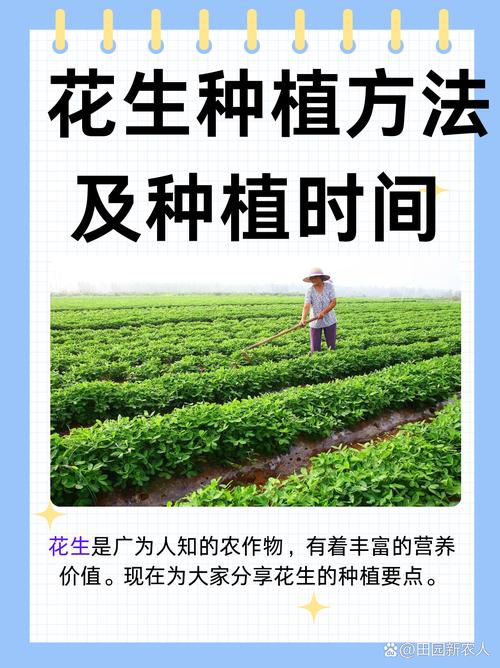 如何科学选购树花生苗?——从品种鉴别到售后保障的完整指南 第三步:根系健康评估与运输装车方案