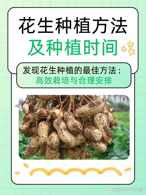 如何科学选购树花生苗?——从品种鉴别到售后保障的完整指南 第二步:品种真实性核查与规格匹配度分析