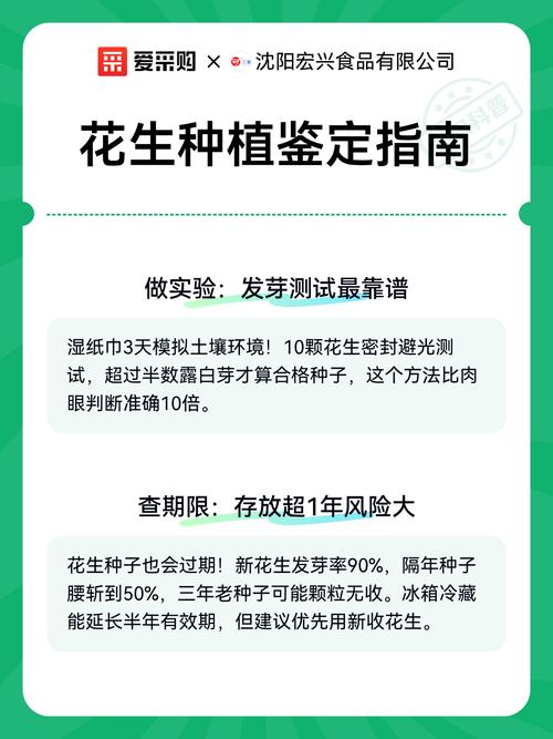 如何科学选购树花生苗?——从品种鉴别到售后保障的完整指南 综合评估:三档结论