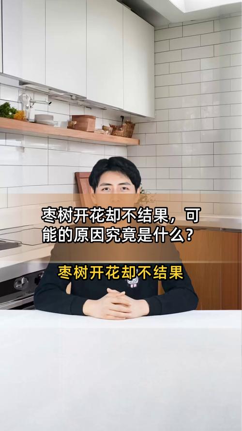 枣树开花不结果?六大核心原因与针对性解决方案 为什么枣树开花不结果?常见原因与解决(FAQ)