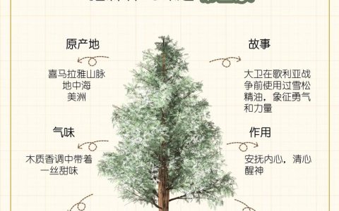 雪松与松树的区别：形态、习性及庭院应用全解析