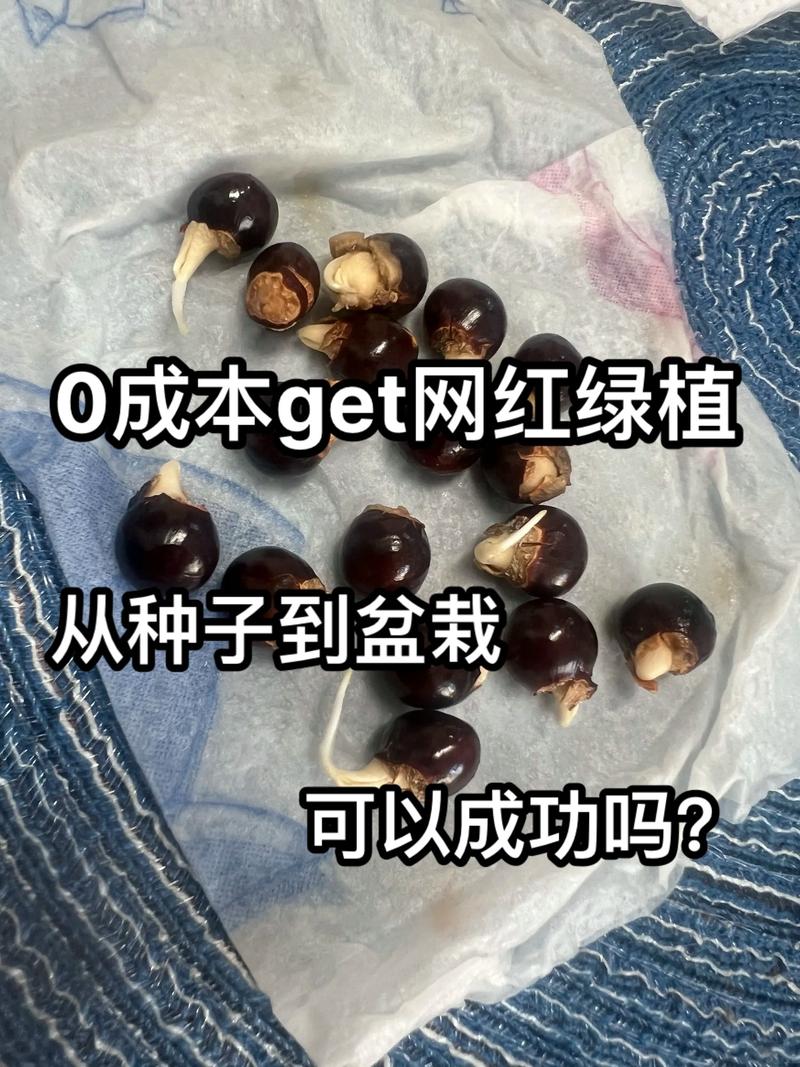 六、常见问题与应对