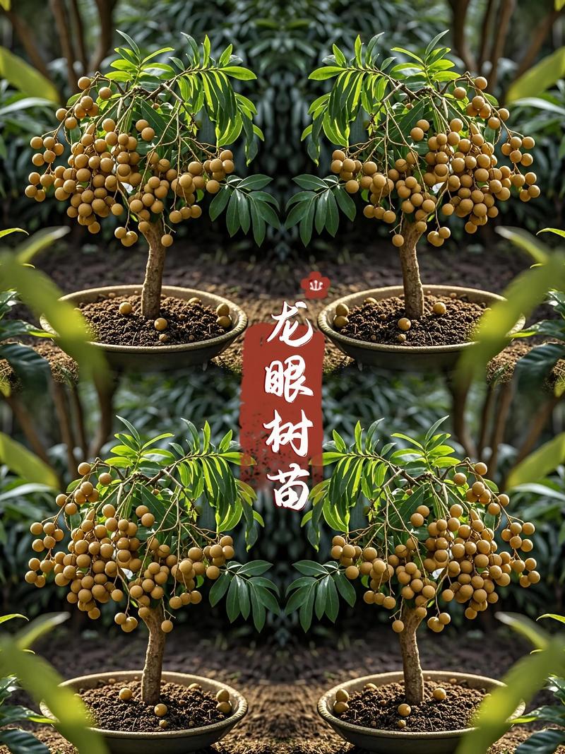 七、总结与展望