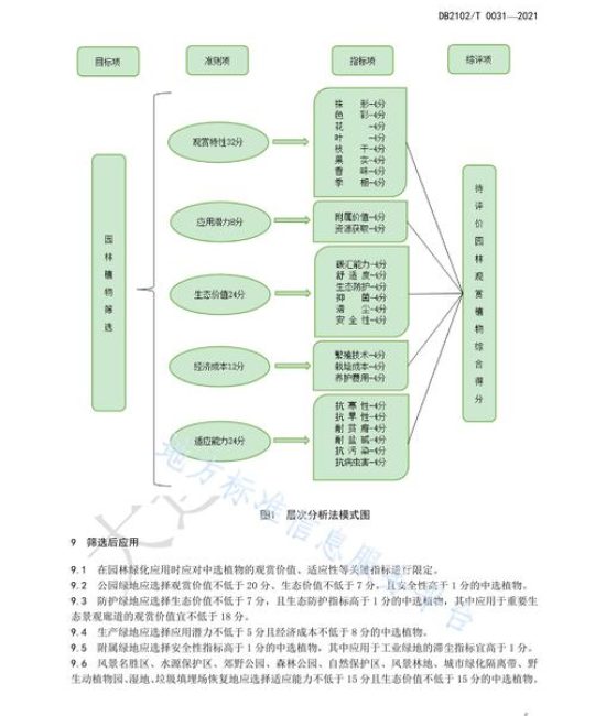 菌草种植技术指南：从选时到成活的完整操作流程