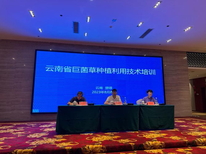 菌草种植技术指南:从选时到成活的完整操作流程 二、土壤环境