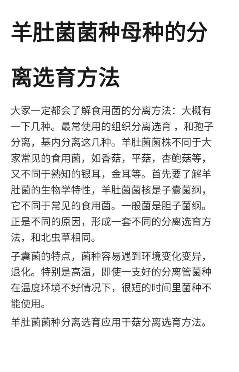 菌草种植技术指南:从选时到成活的完整操作流程 三、栽前处理