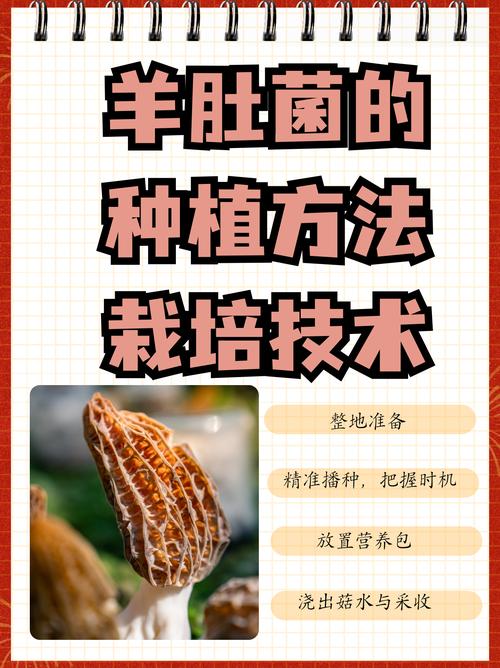菌草种植技术指南:从选时到成活的完整操作流程 四、栽植深度