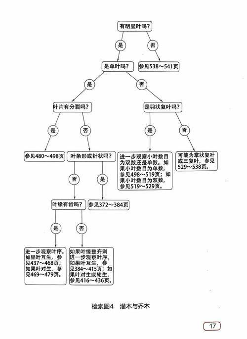 菌草种植技术指南:从选时到成活的完整操作流程 六、缓苗管理