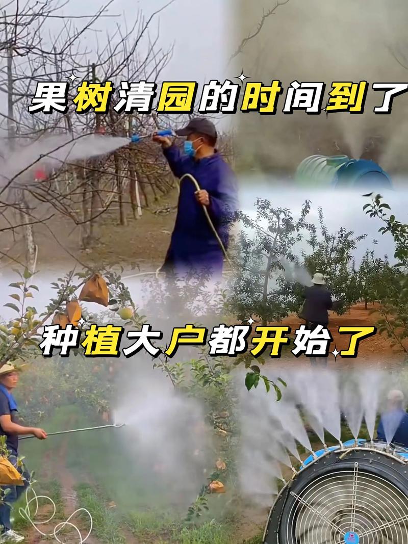 石榴树打药最佳时间表与病虫害防治全攻略:从萌芽到采果的精准管理 石榴树打药最佳时间表与病虫害防治全攻略:从萌芽到采果的精准管理